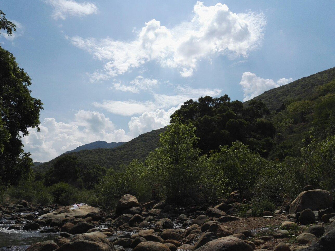 Puliyancholai Falls景点图片