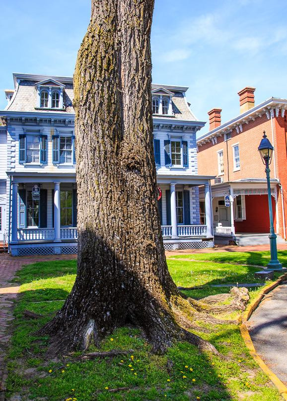 Dover Green Historic District-多佛必去景点