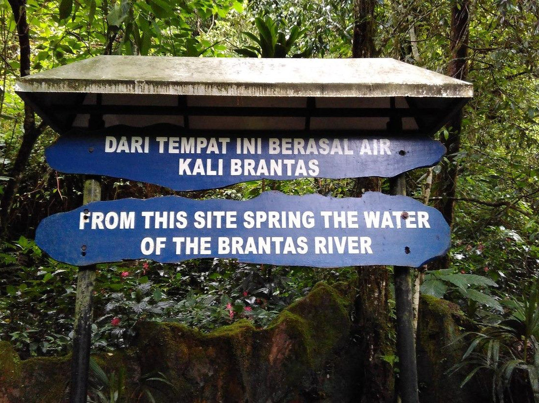 Arboretum Sumber Brantas景点图片