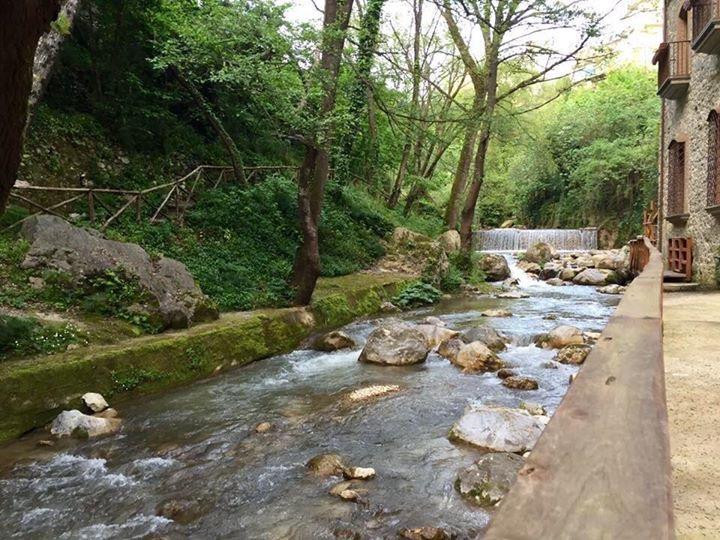 Oasi WWF Monte Polveracchio景点图片