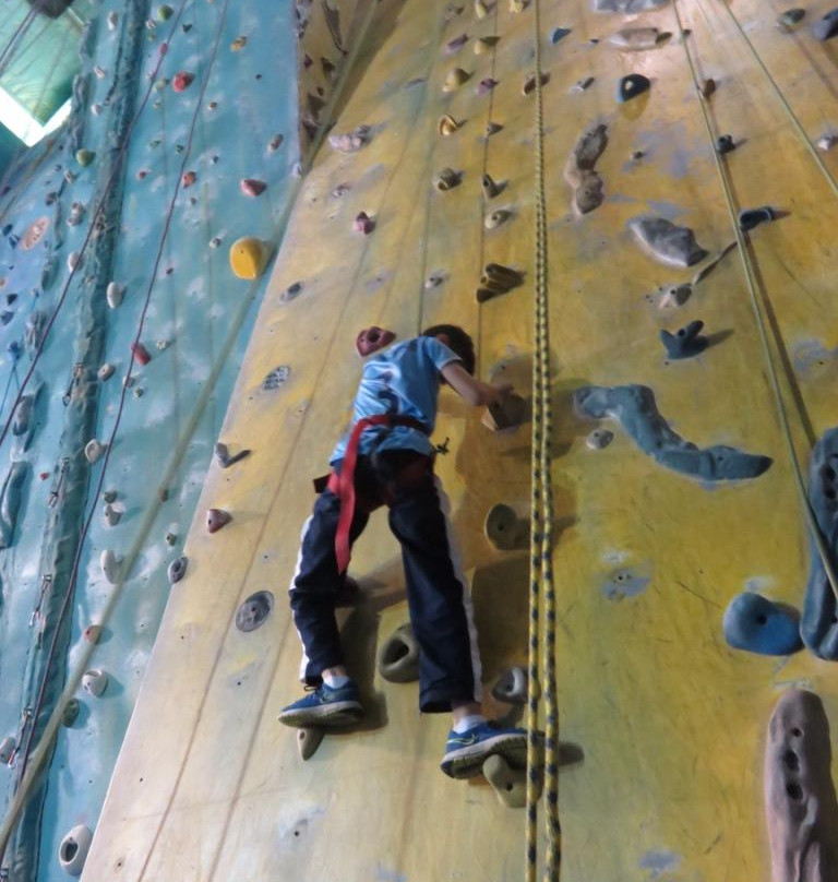 Cliffhanger Climbing Gym-阿尔托纳必去景点