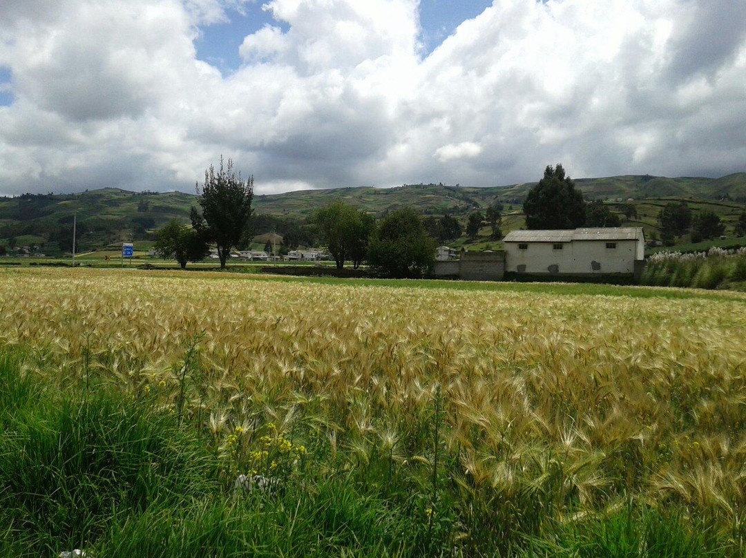 Tren Ecuador Sendero de los Ancestros景点图片