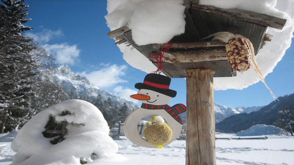 Das Bäckergut Am Haldensee主图