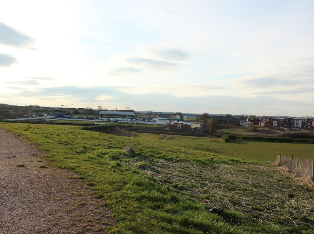 Frickley Park景点图片