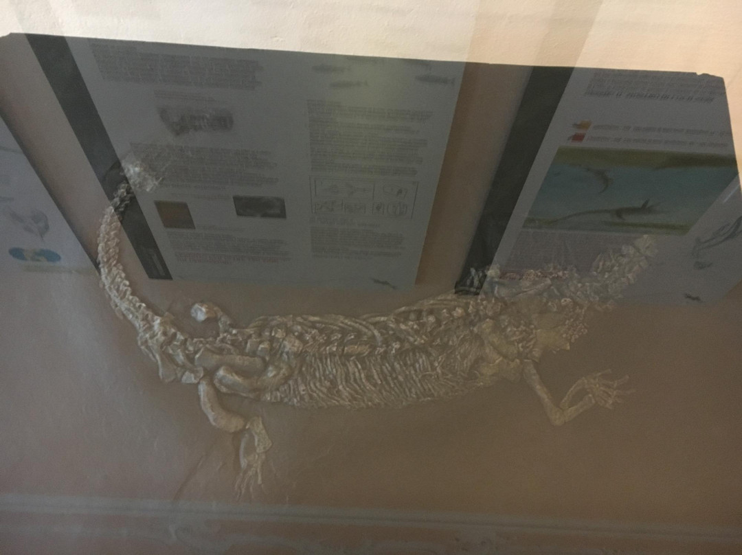 Museo di Storia Naturale di Lecco-莱科必去景点