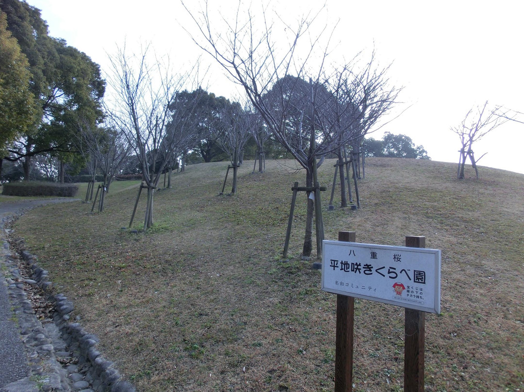 Hirachi Park景点图片