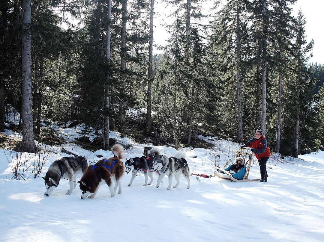 Piste des Inuits景点图片