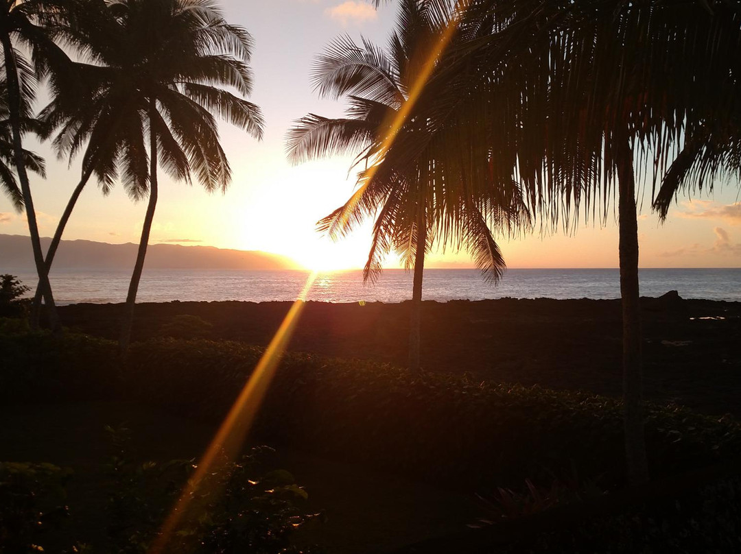 热带水域酒店主图