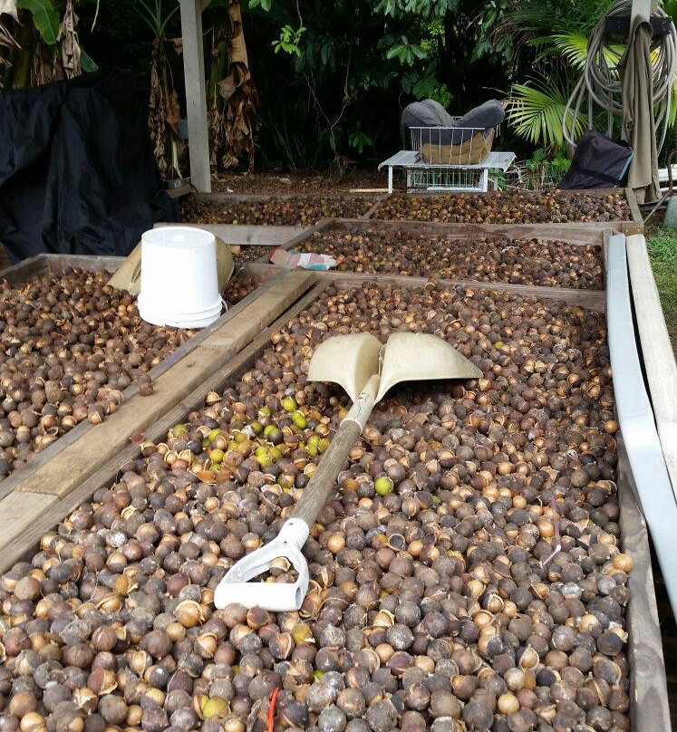 Joe's Nuts-库克船长必去景点