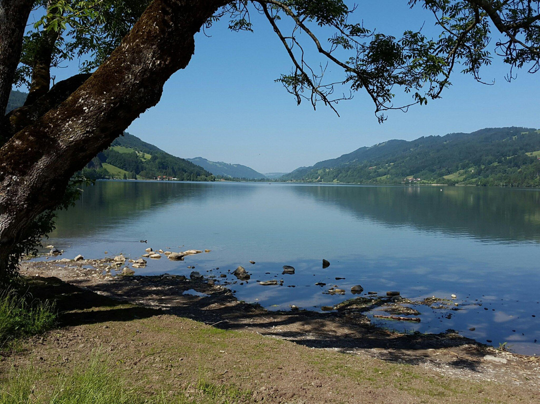 Alpsee Bergwelt景点图片