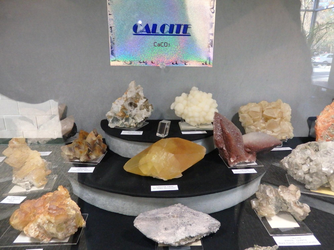 Trailside Nature & Science Center-Mountainside必去景点