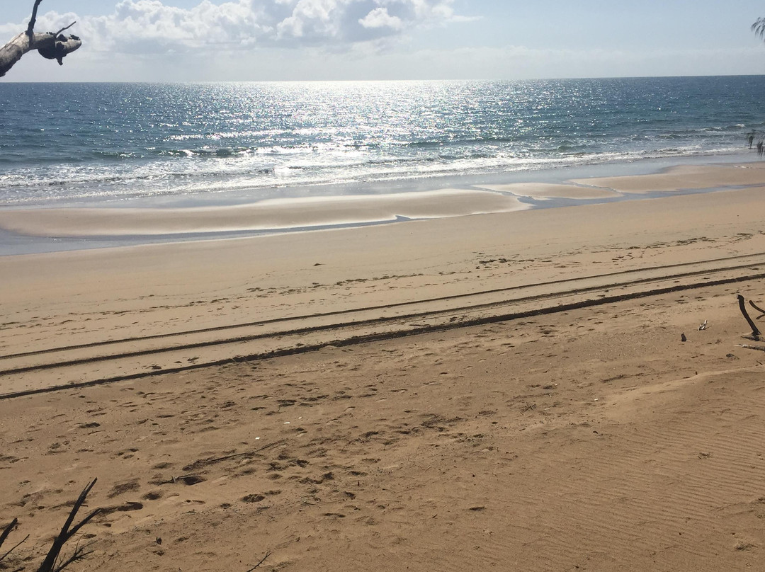 Burrum Coast National Park景点图片