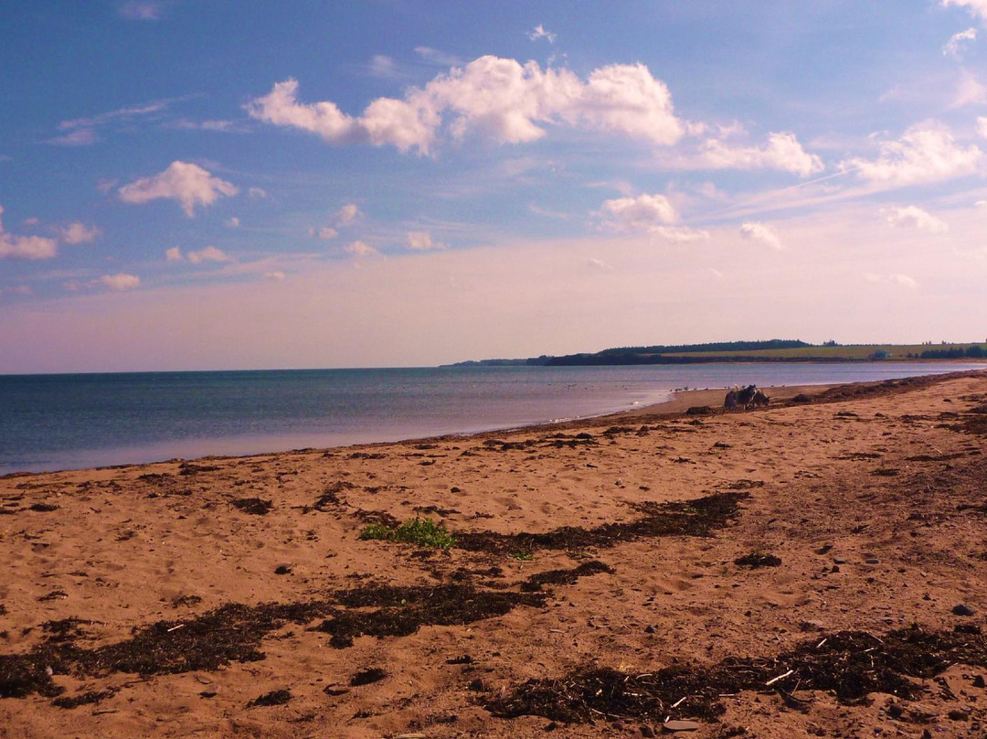 Coastal Spirit Expeditions-Cape John必去景点