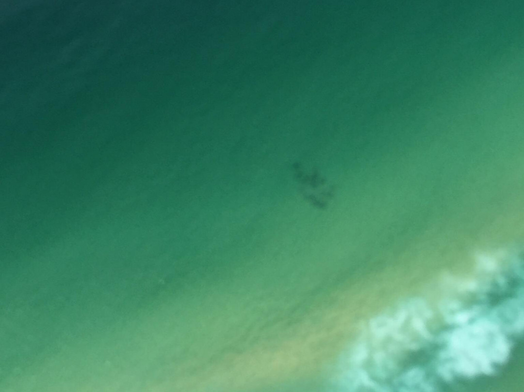 South Coast Seaplanes景点图片