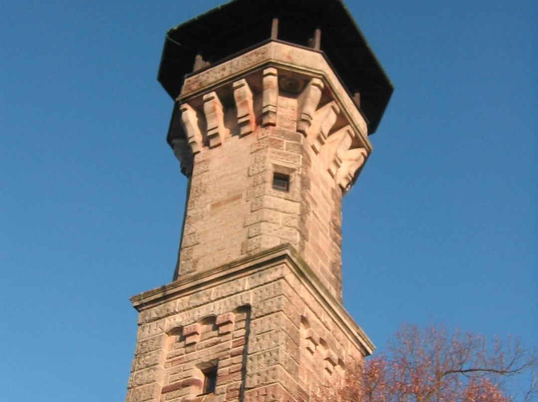 Aussichtsturm Cadolzburg景点图片