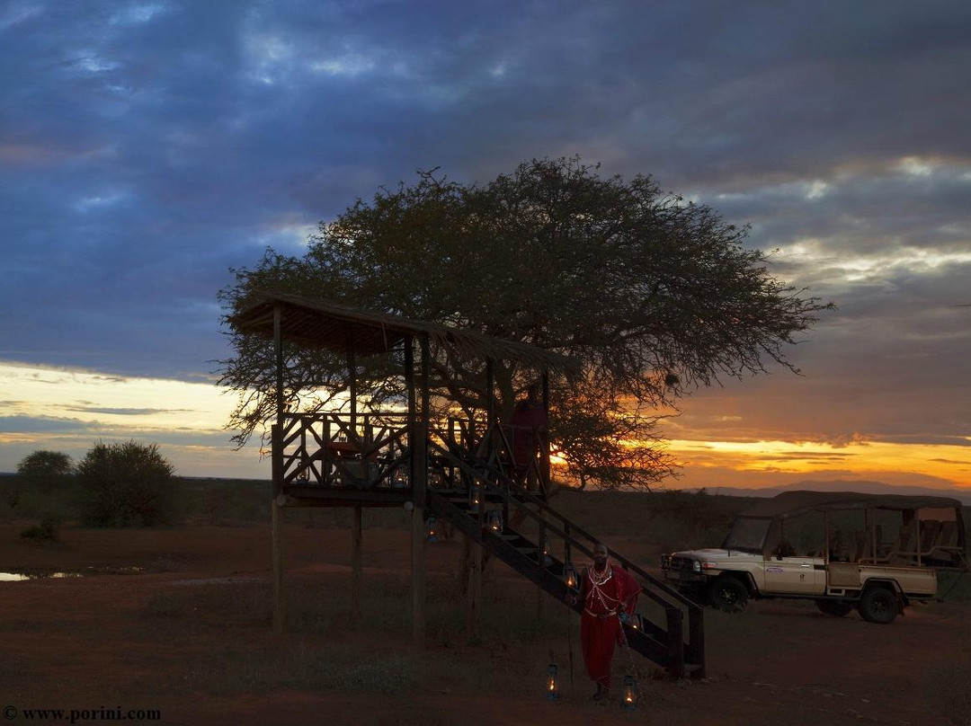 Selenkay Conservancy-Amboseli Eco-system必去景点