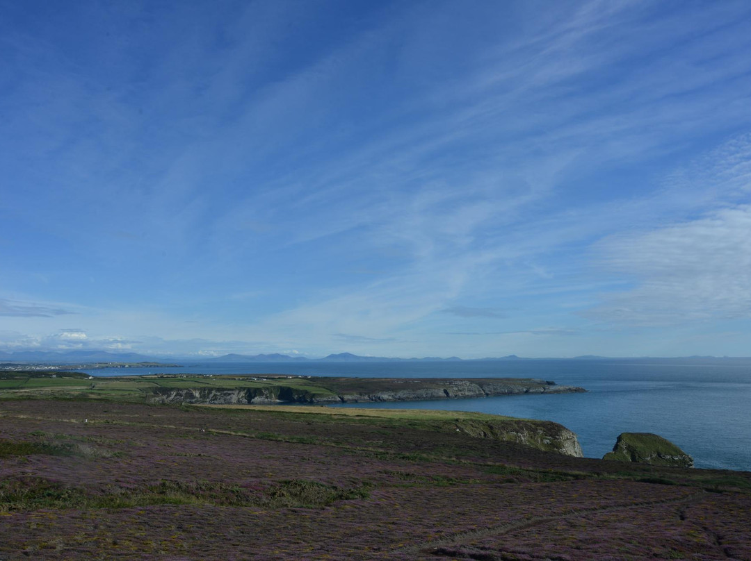 South Stack Cliffs RSPB Reserve-Holyhead必去景点