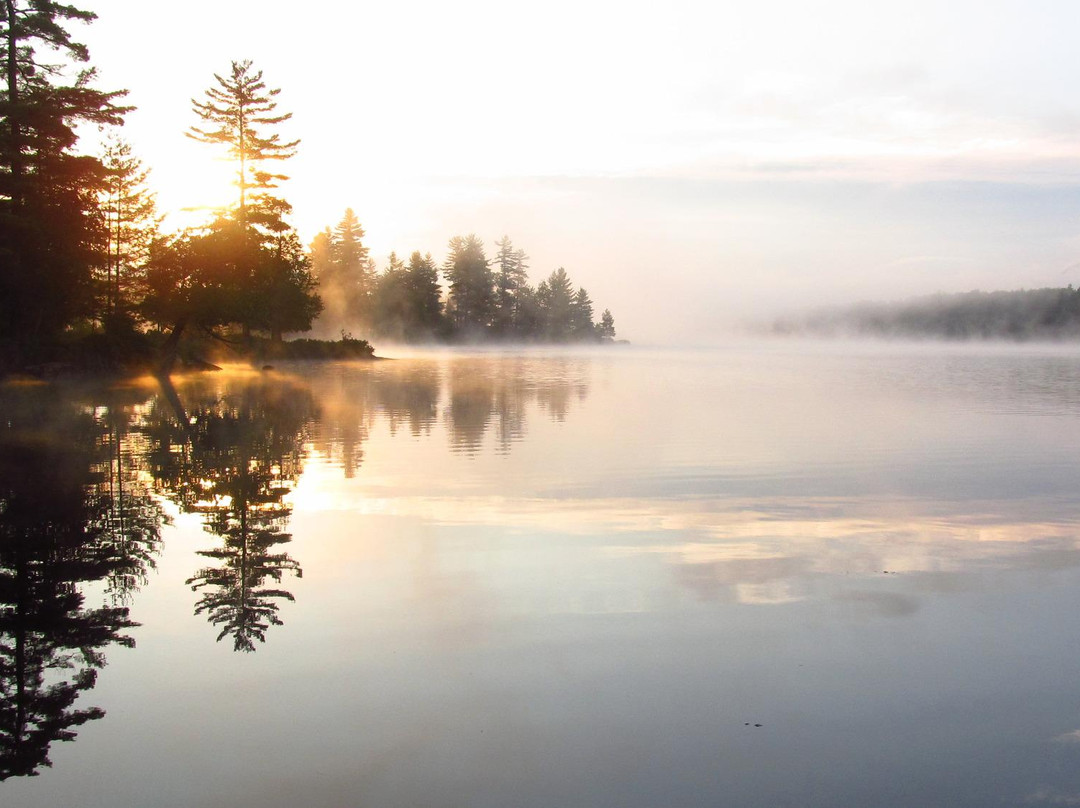 Forked Lake Campground