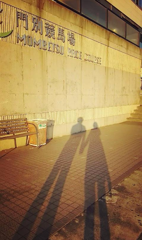 Breeders Stallions Station-日高町必去景点