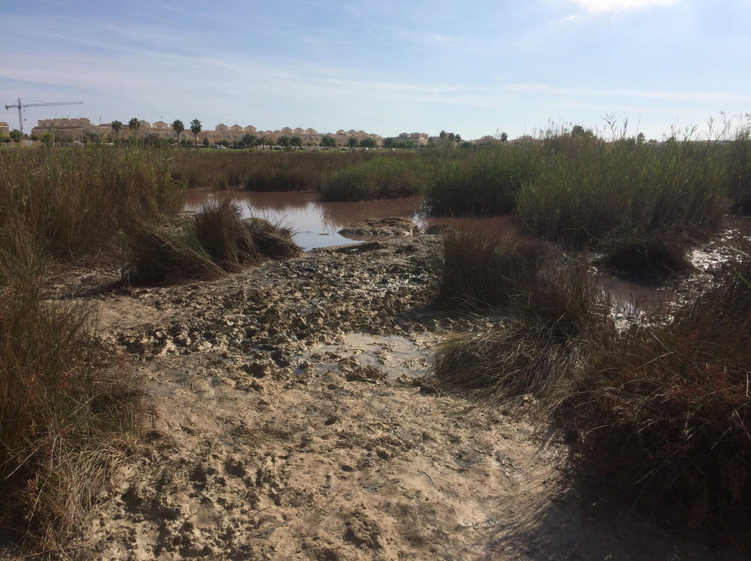 Las Salinas de Torrevieja景点图片
