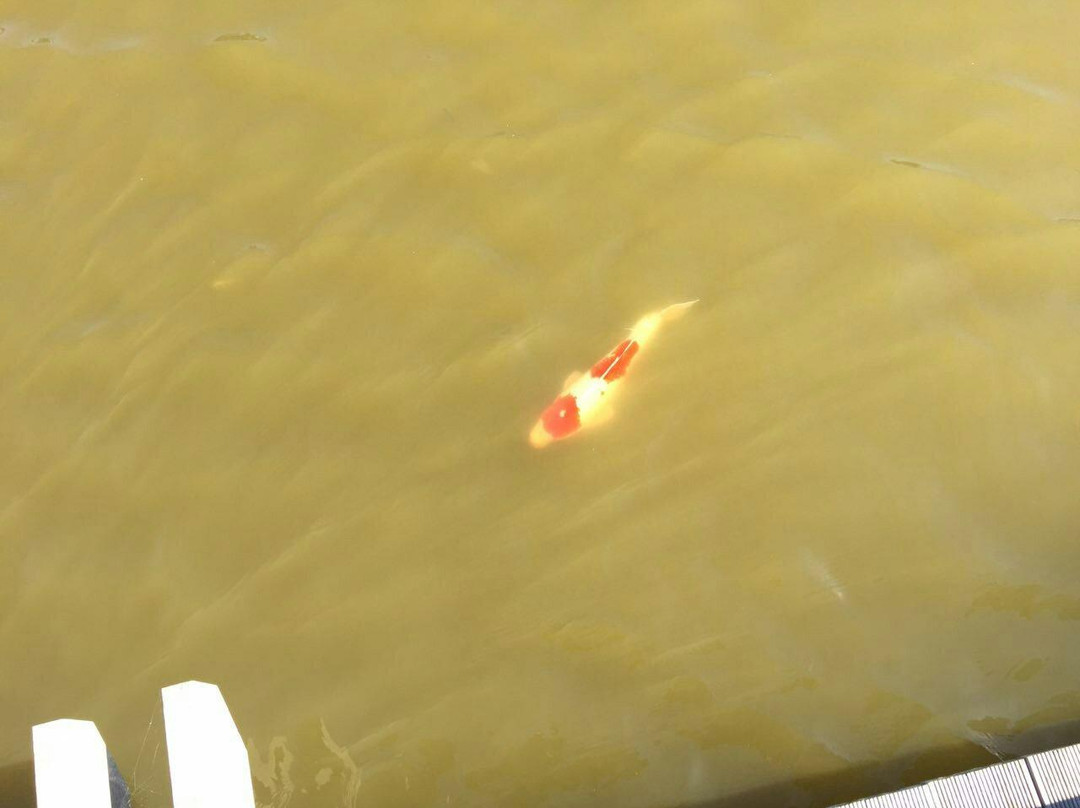 Anseong Namsadang Training Center-安城市必去景点