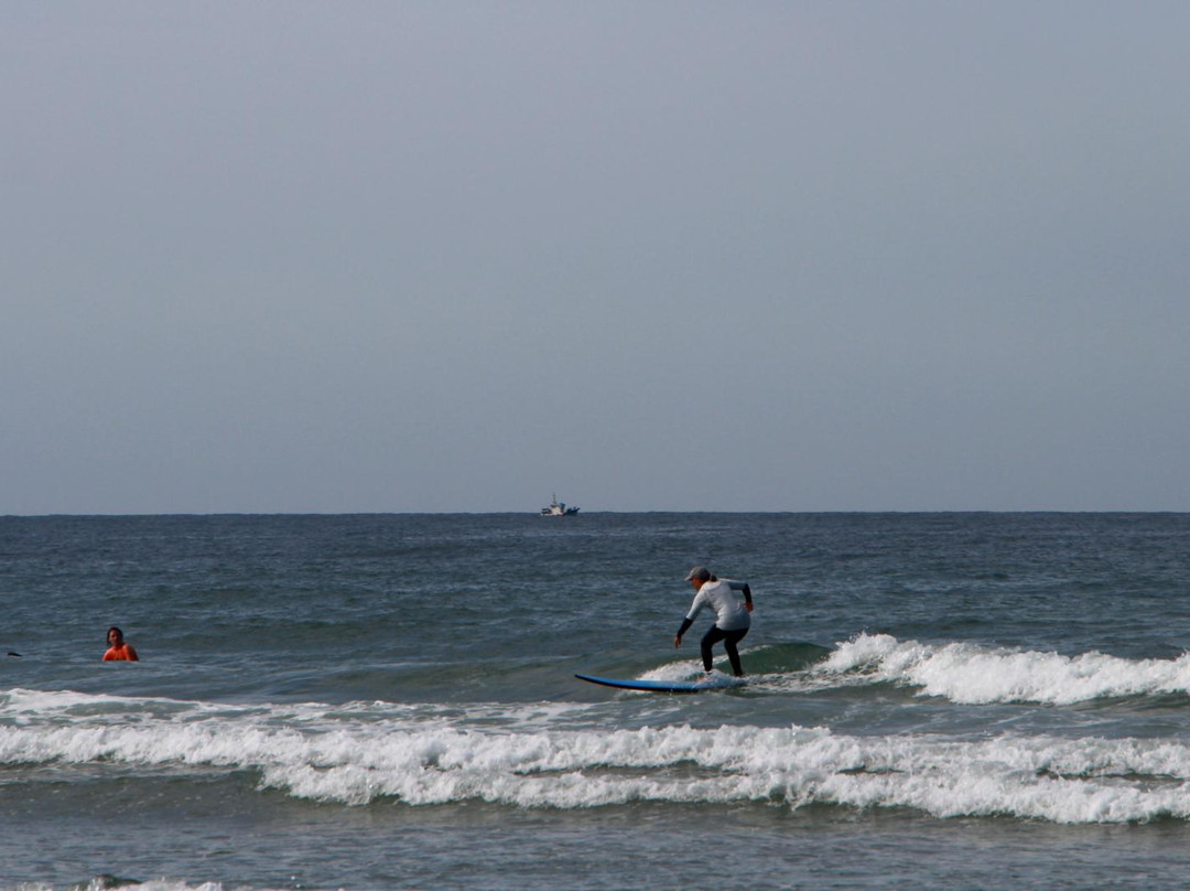 Trafalgar Surf School-Conil de la Frontera必去景点