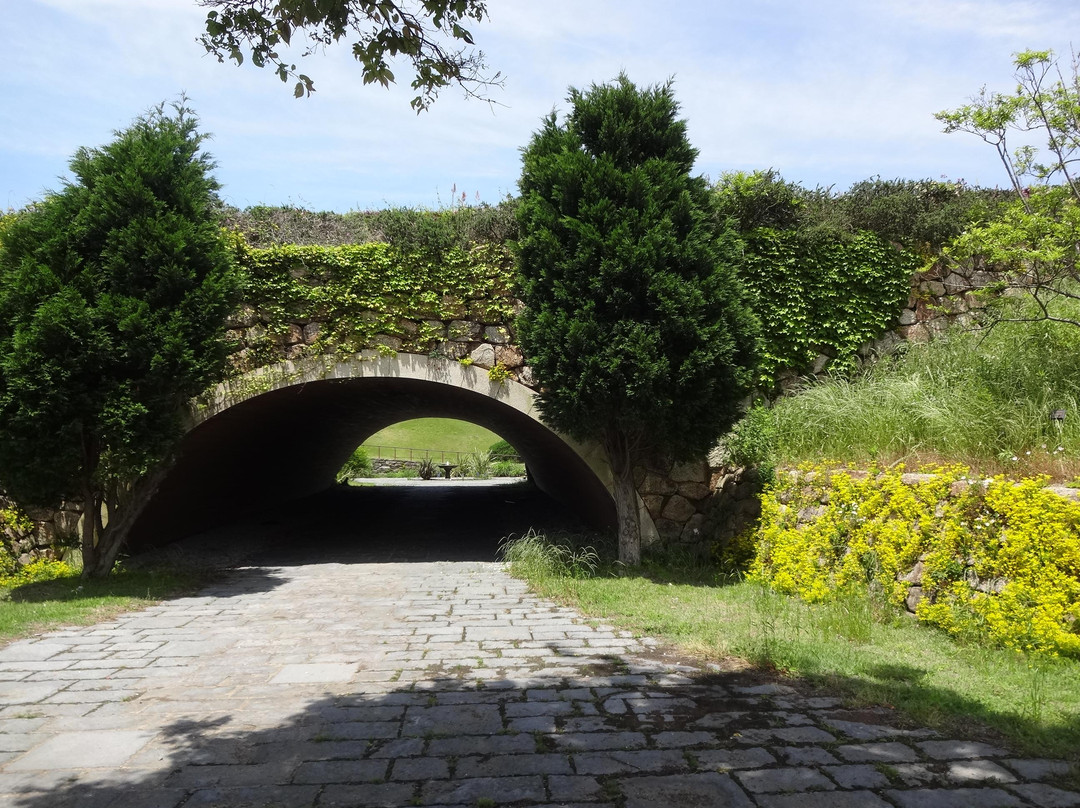 Hyogo Prefectural Awaji Landscape Planning & Horticulture Academy-淡路市必去景点