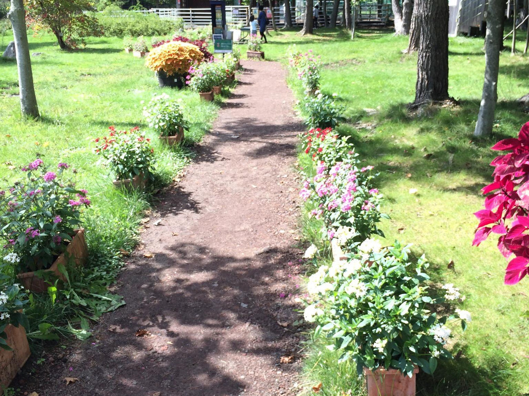Hachimandaira Flower Land-八幡平市必去景点