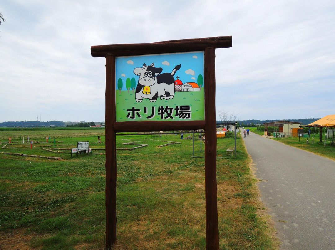 Kahokugata Hori Pasture景点图片