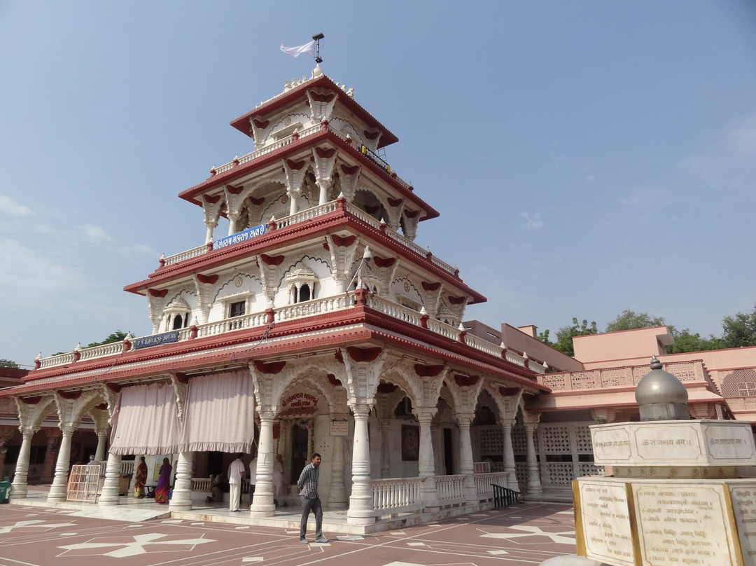 Shree Santram Samadhi Sthan景点图片