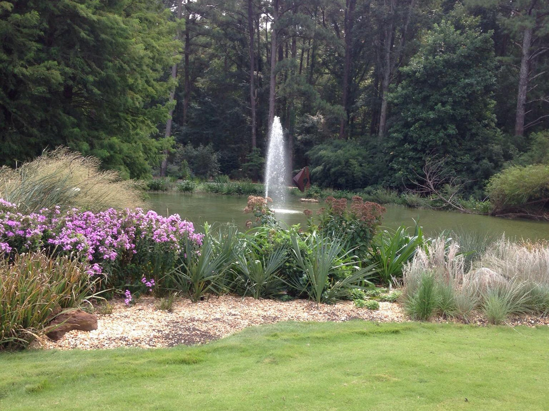 Cape Fear Botanical Garden景点图片