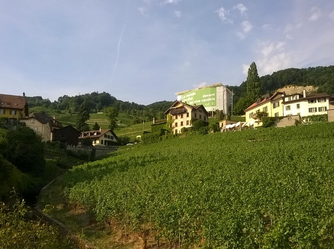 Terres de Lavaux-吕特里必去景点