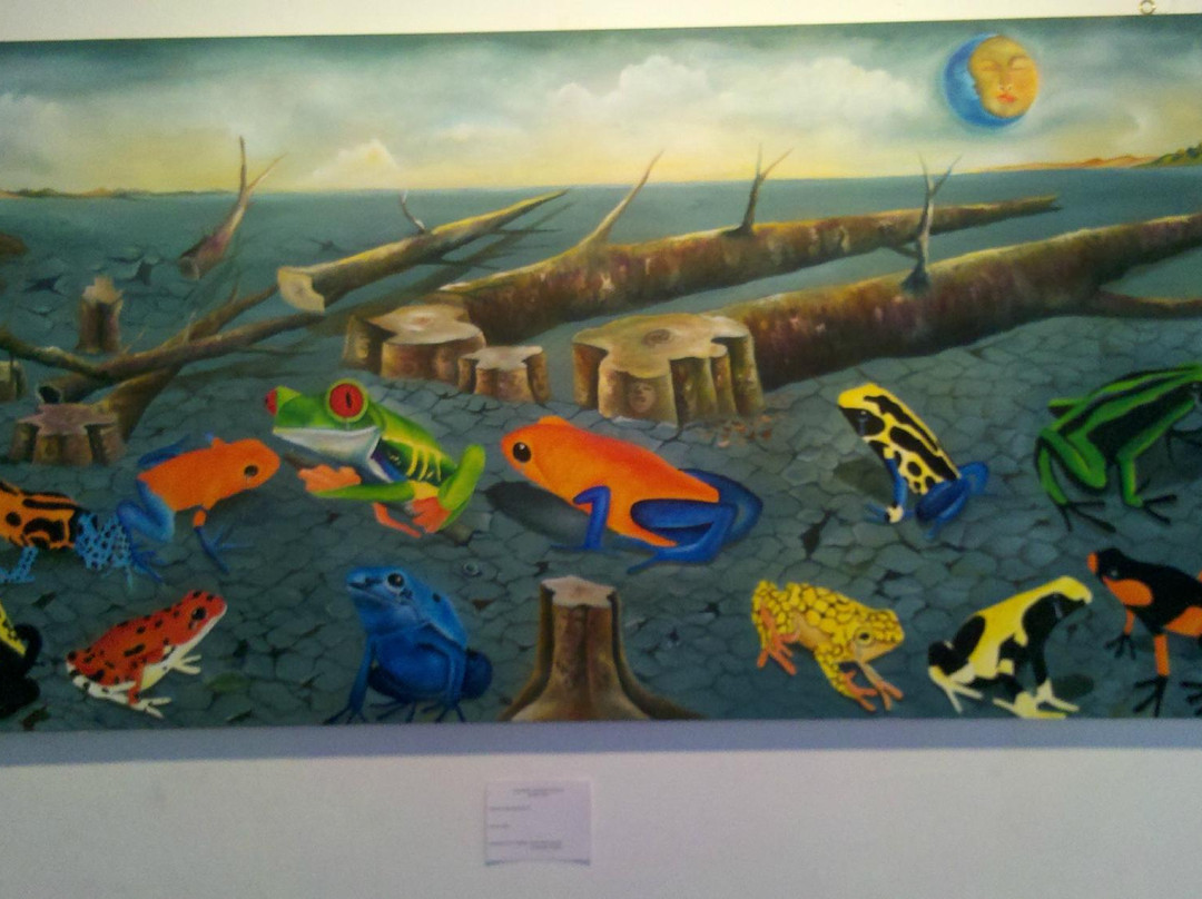 Museo Caqueta-Florencia必去景点