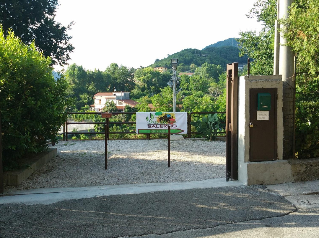 ASD Verde e Sport Salerno景点图片
