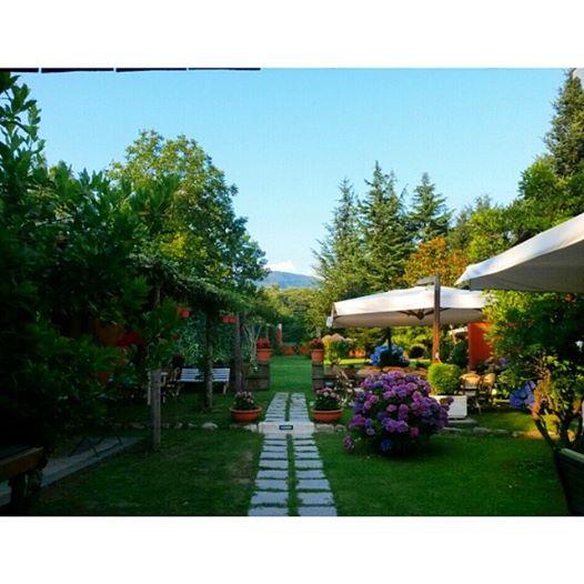 Poggio Dei Signori-官方