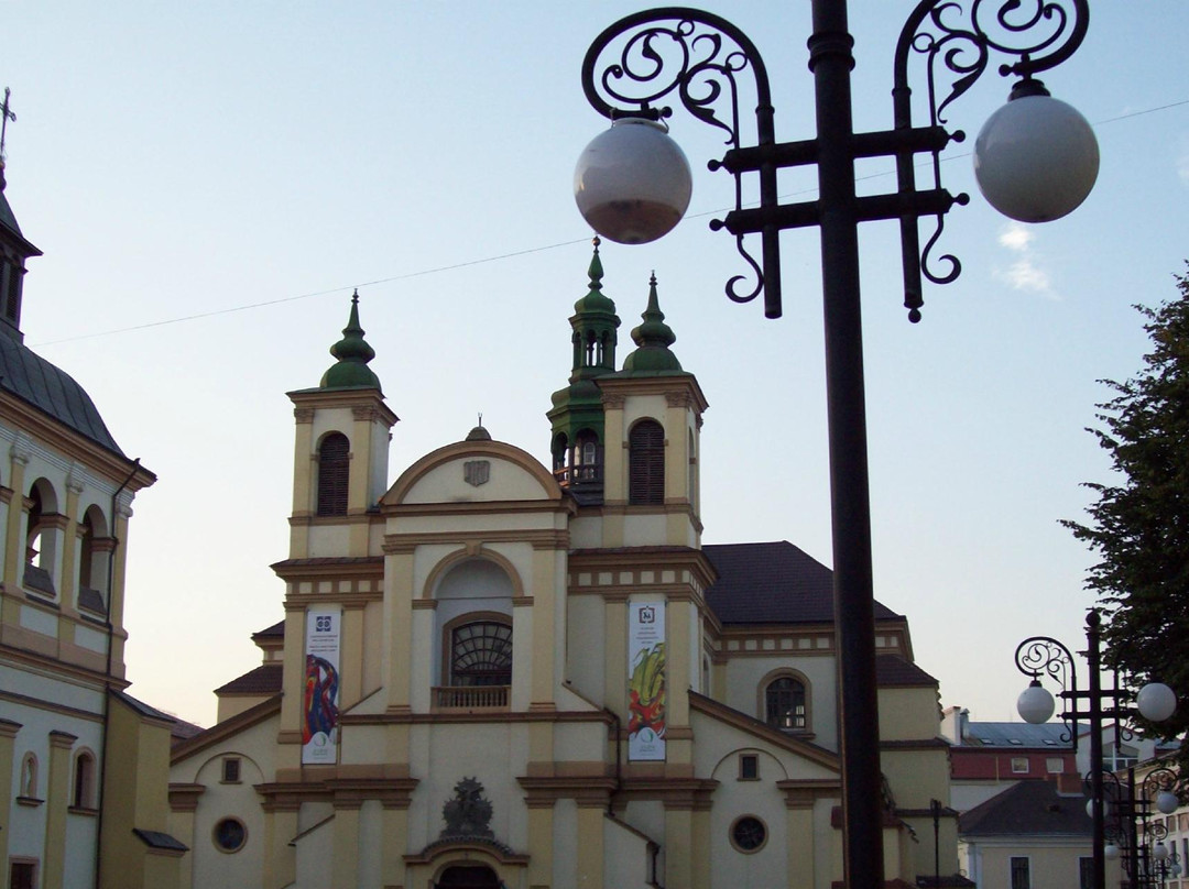 Prycarpathian Museum of Arts-Ivano-Frankivsk必去景点