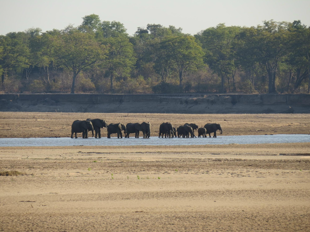 Chamilandu Bushcamp - The Bushcamp Company