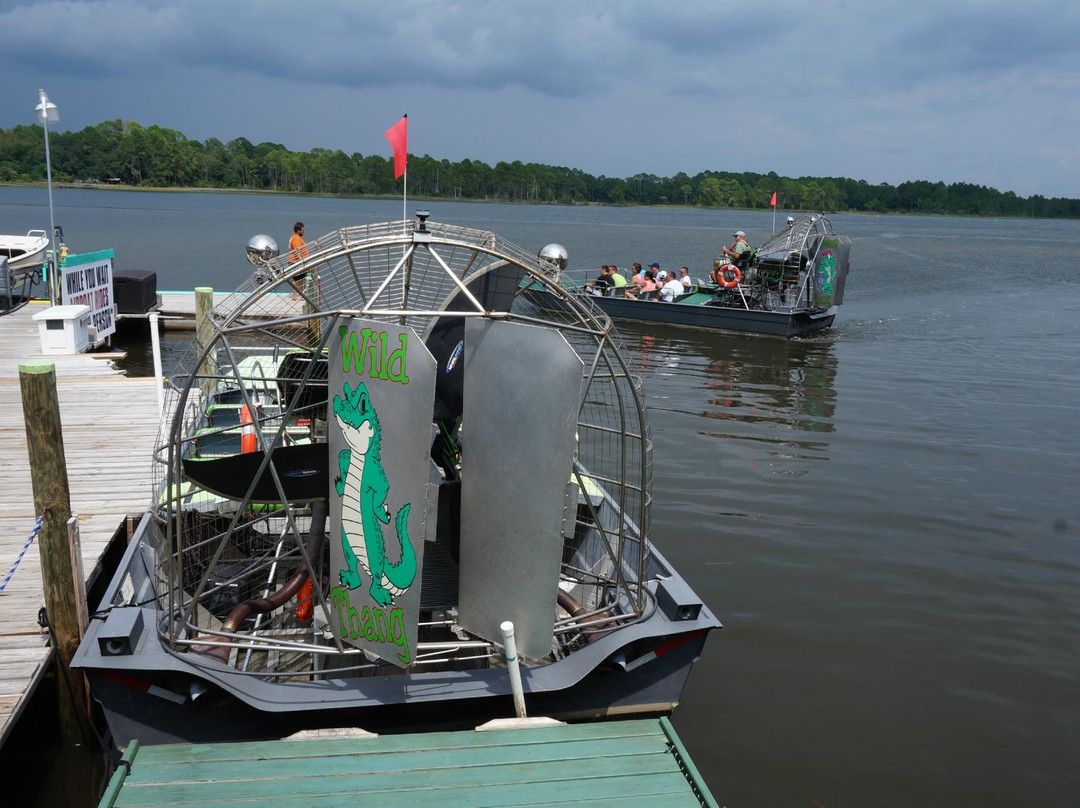 Wild Thang Airboat Tours-巴拿马城海滩必去景点