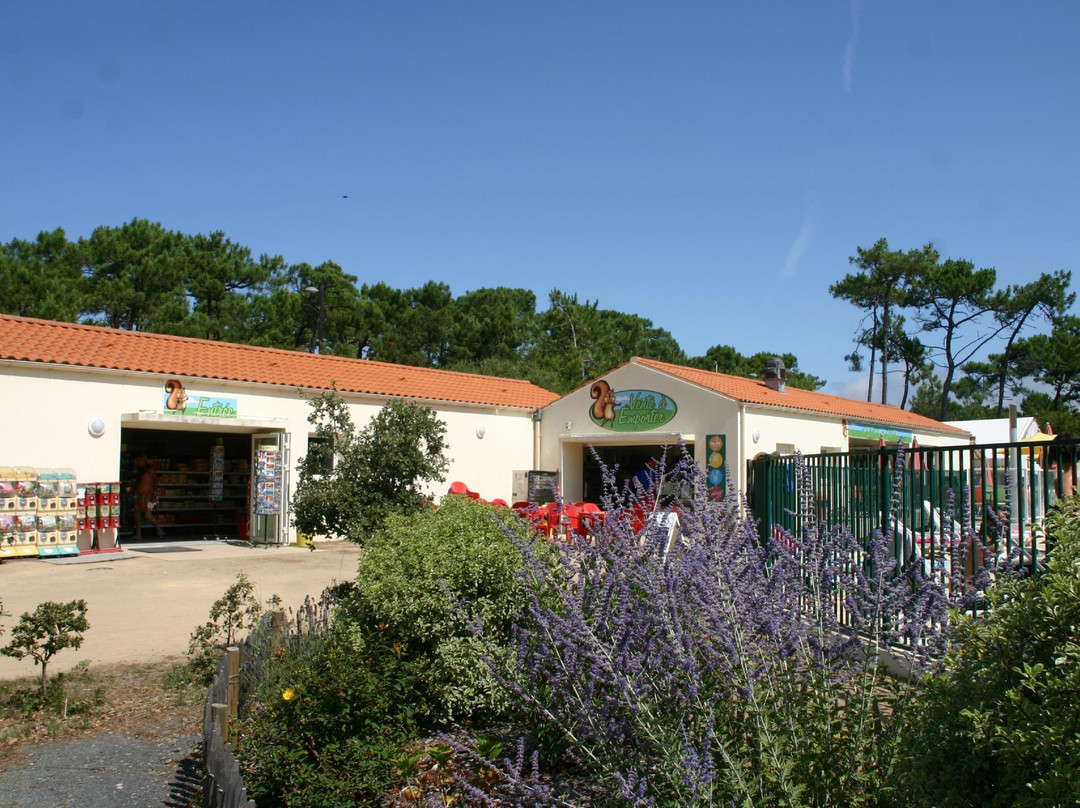 Camping de la Plage de Riez