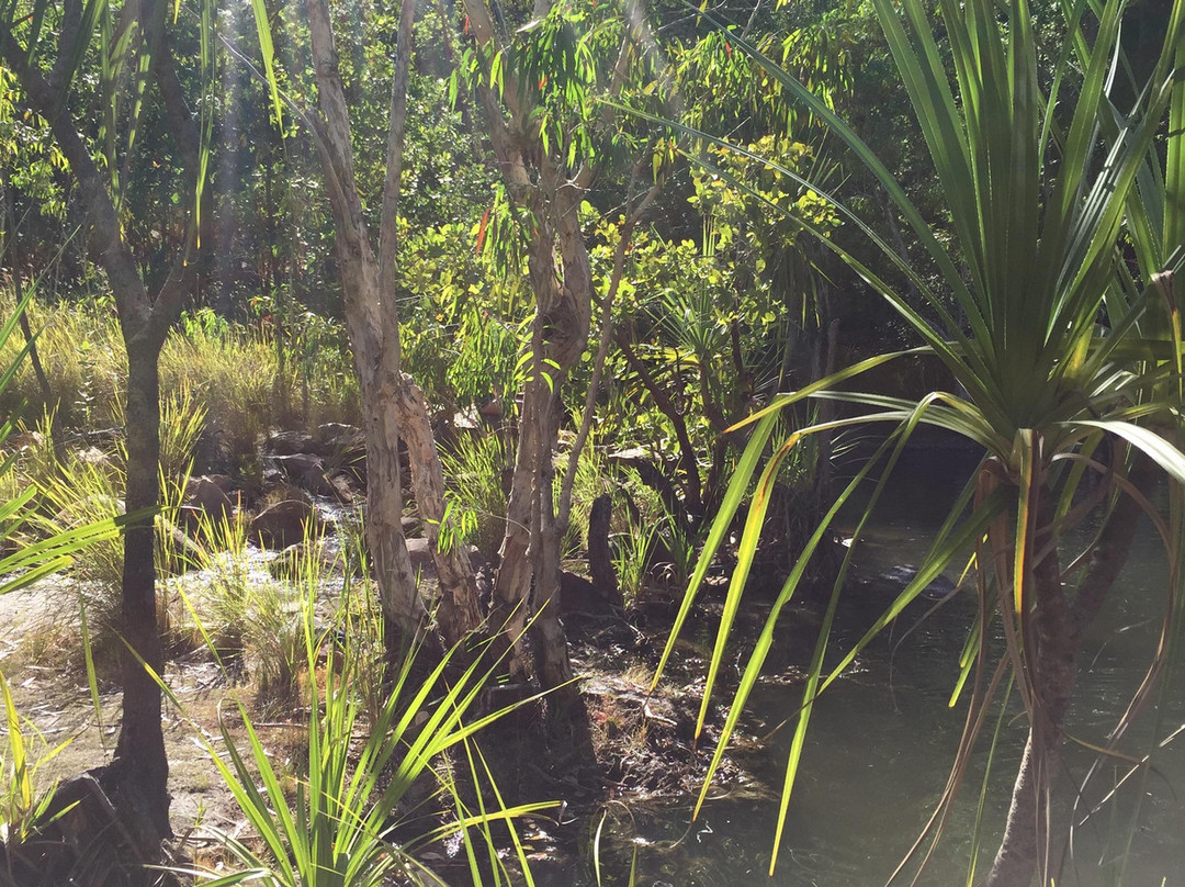 Gunlom Waterfall Creek景点图片