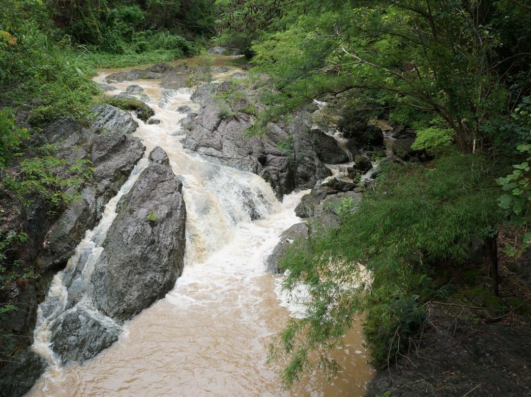 Namtok Than Thip Forest Park景点图片