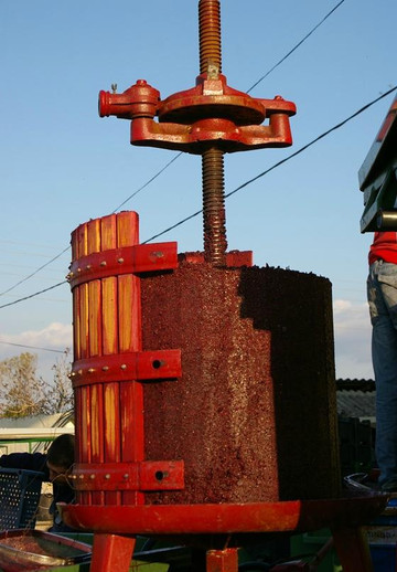 Rotenberg Winery-Ceptura必去景点