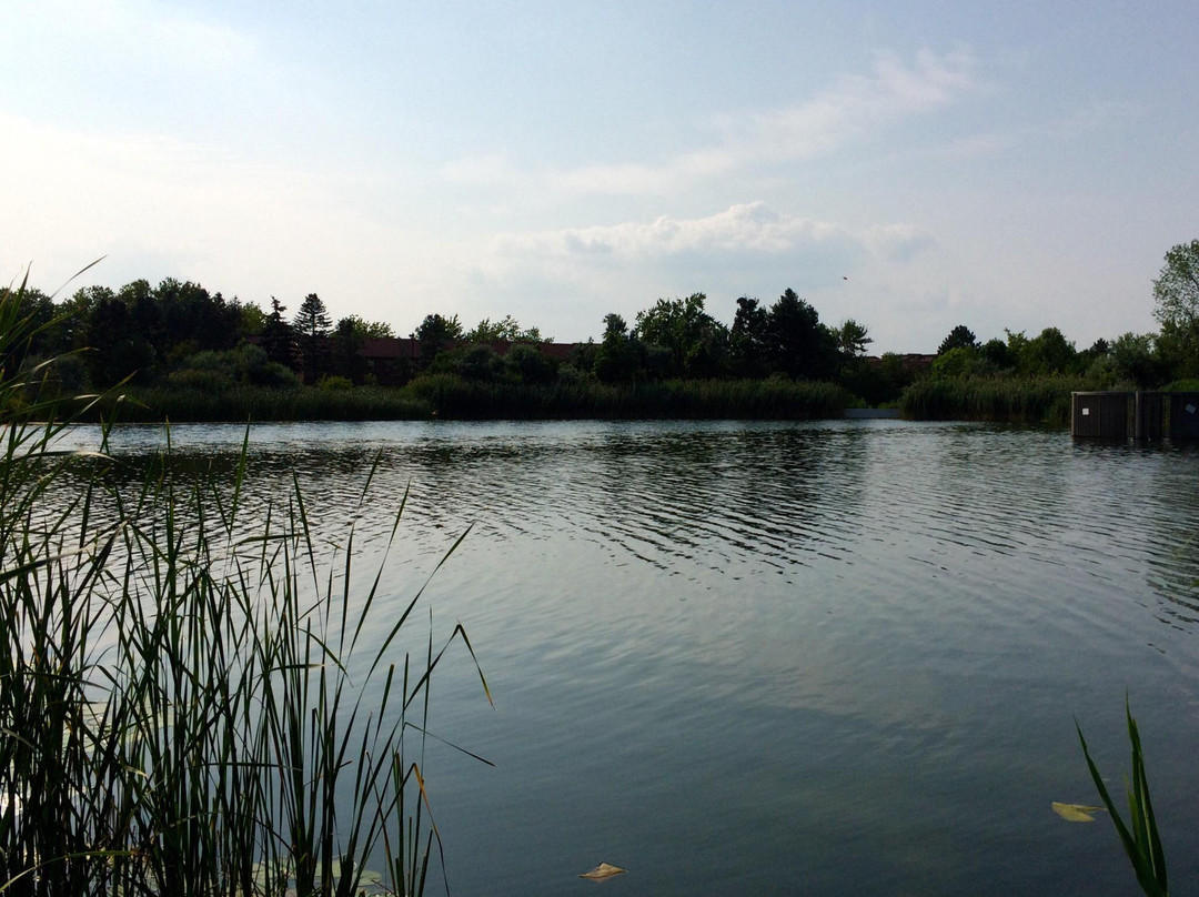 Lake Aquitaine Park-米西索加必去景点