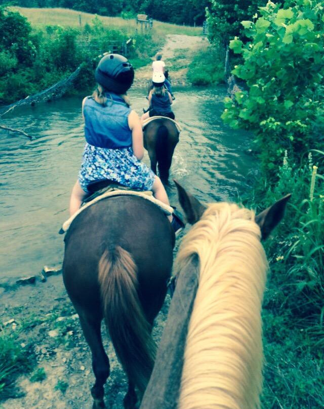 Star B Stables-斯汤顿必去景点