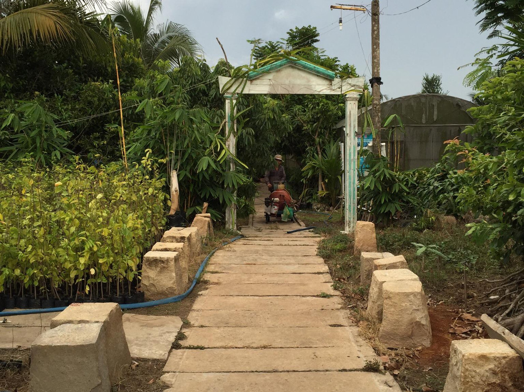 Cai Be Floating Market-凯比必去景点