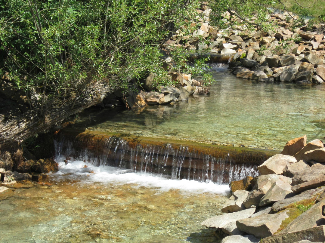 Regional Park Klyuchi景点图片