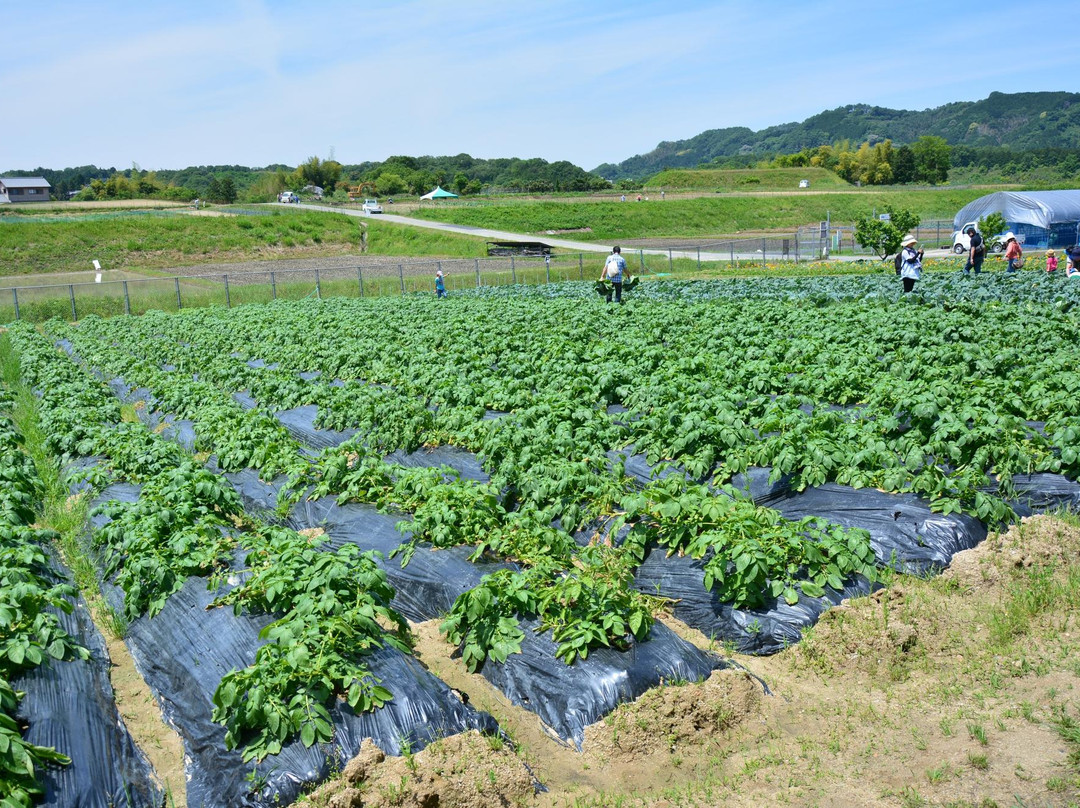 富田林市旅游景点-Tondabayashi Savor Farm