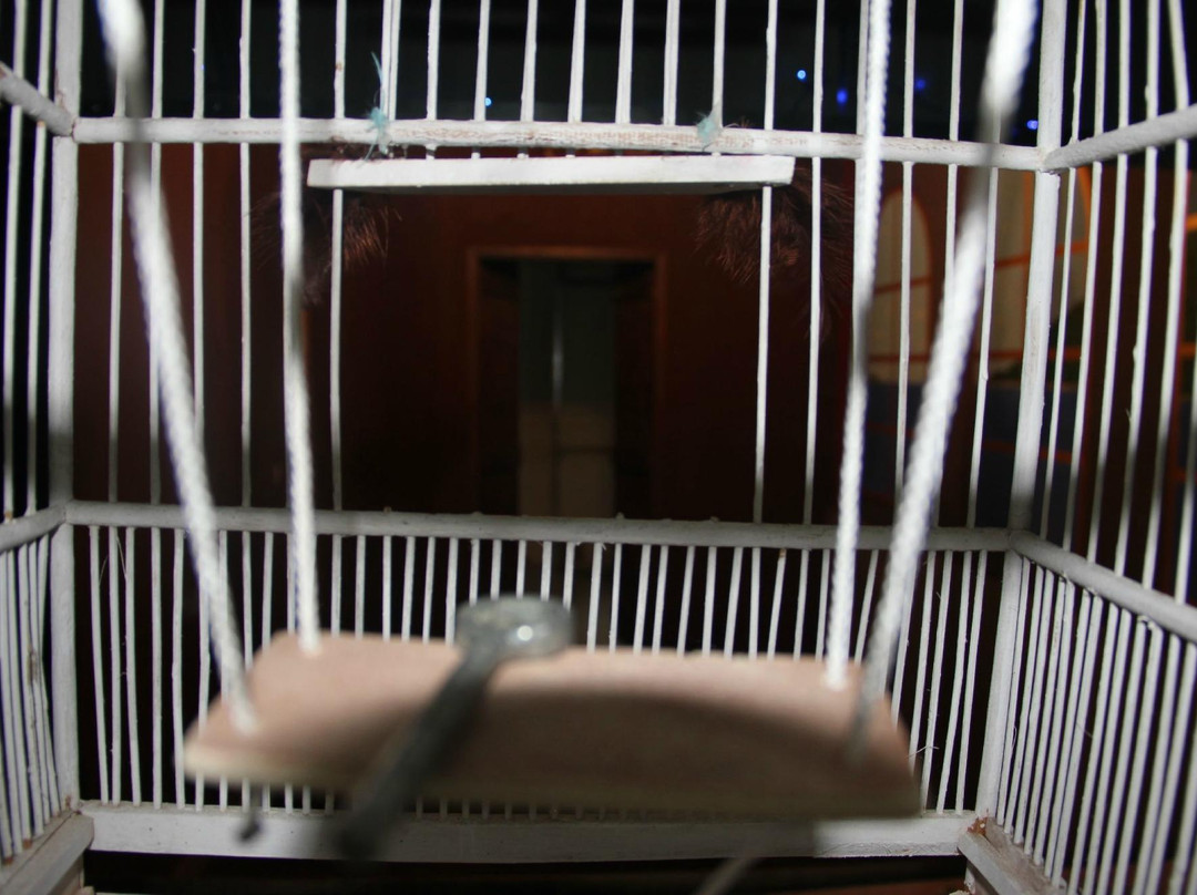 Escape Game Nouméa-努美阿必去景点