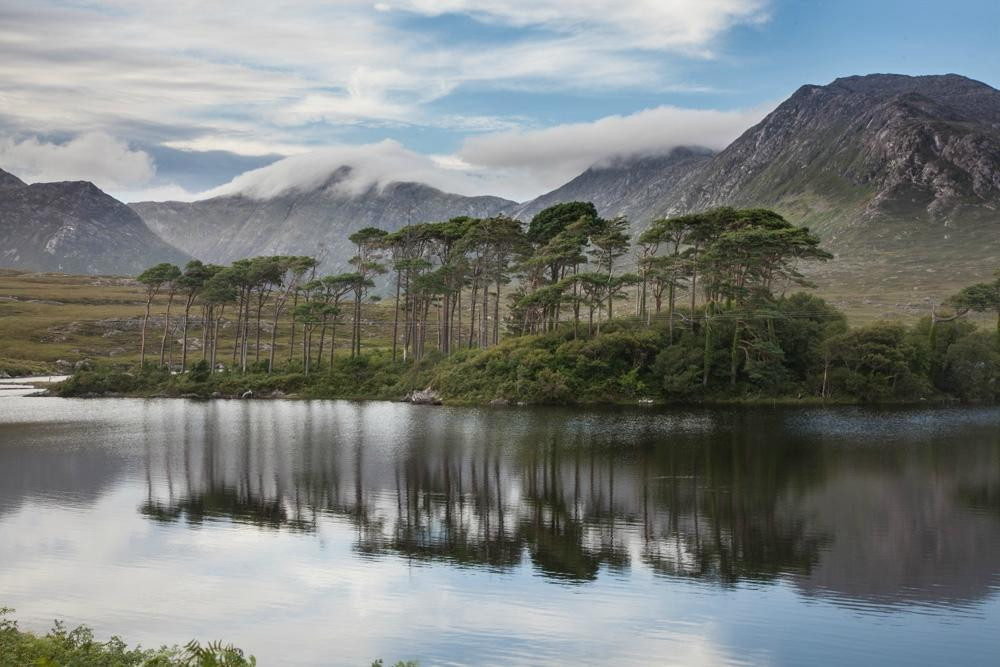 Wild Atlantic Adventures Ltd. - Day Tours景点图片