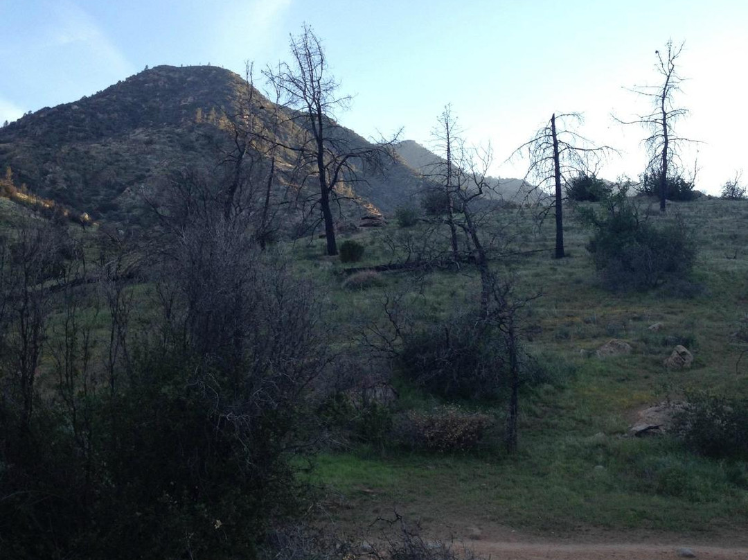 Whiskey Flat Trail景点图片